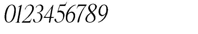 Castlon Contrast Condensed Slanted Font OTHER CHARS