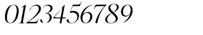 Castlon Expanded Slanted Font OTHER CHARS