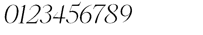 Castlon Light Expanded Slanted Font OTHER CHARS