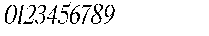 Castlon Medium Contrast Condensed Slant Font OTHER CHARS