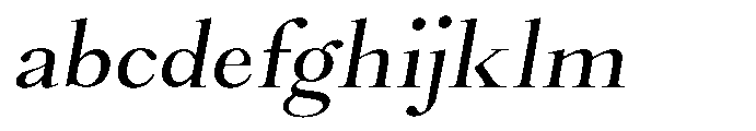 Castlon Medium Contrast Exp Slant FONT