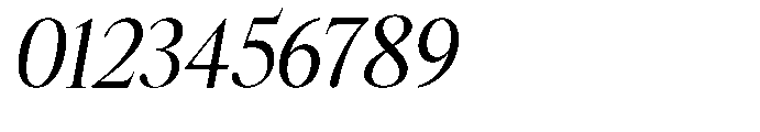 Castlon Medium Contrast Slanted Font OTHER CHARS
