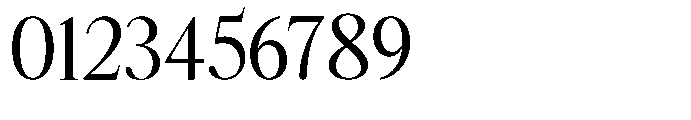 Castlon Medium Contrast Font OTHER CHARS