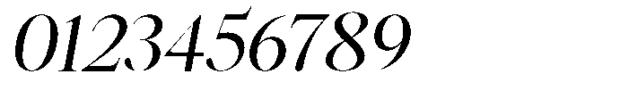 Castlon Medium Expanded Slanted Font OTHER CHARS