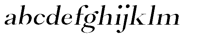 Castlon Medium Expanded Slanted FONT