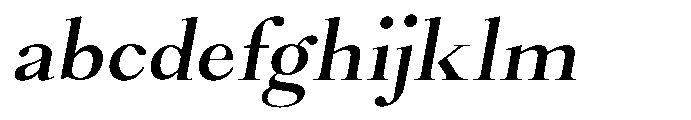 Castlon Semi Bold Contrast Exp Slant FONT