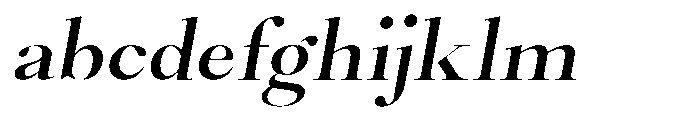 Castlon Semi Bold Expanded Slanted FONT