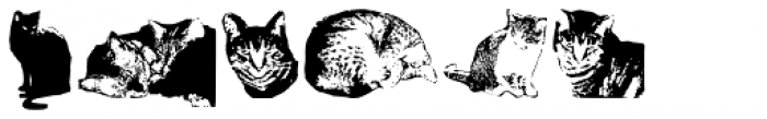 Cat E Poultry Font UPPERCASE