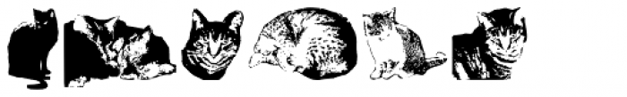 Cat E Poultry Font LOWERCASE