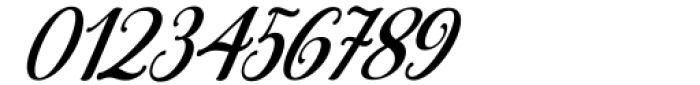 Catalina Shiba Italic Font OTHER CHARS