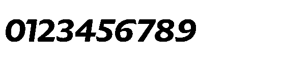 Catalize Bold Italic Font OTHER CHARS