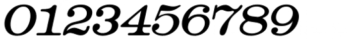 Catalog Serif Oblique JNL Font OTHER CHARS