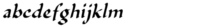 Catherynami Italic FONT