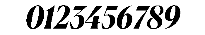 Canela Bold Italic Font OTHER CHARS