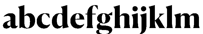 Canela Bold FONT