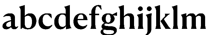 Canela Text Medium FONT