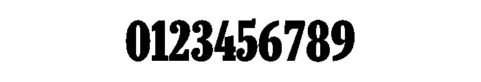 Caponi Condensed Black Round Font OTHER CHARS