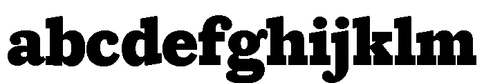 Caponi Slab Black FONT
