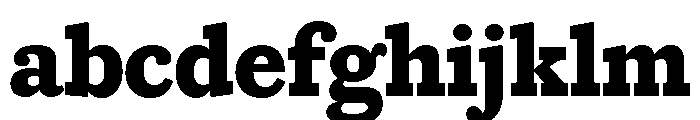 Caponi Slab Bold FONT