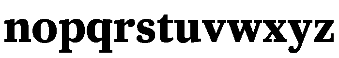 Caponi Text Bold Font LOWERCASE