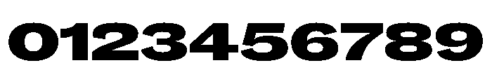Caslon Doric Extended Black Font OTHER CHARS