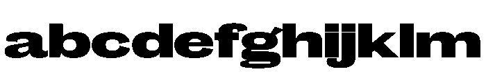 Caslon Doric Extended Black FONT