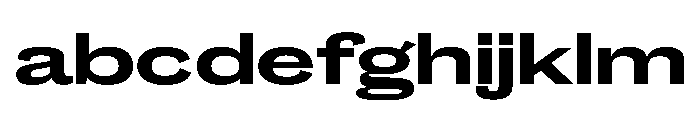 Caslon Doric Extended Bold FONT
