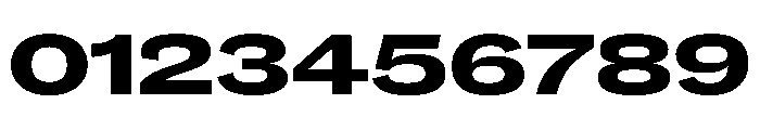 Caslon Doric Extended Extrabold Font OTHER CHARS