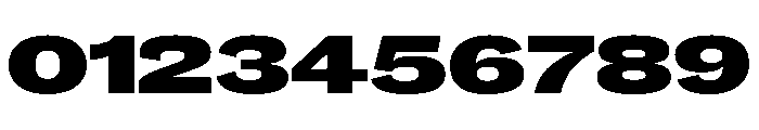 Caslon Doric Extended Fat Font OTHER CHARS