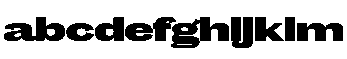 Caslon Doric Extended Fat FONT