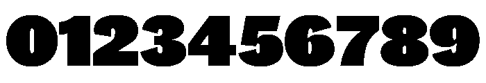 Caslon Doric Fat Font OTHER CHARS