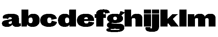 Caslon Doric Wide Black FONT