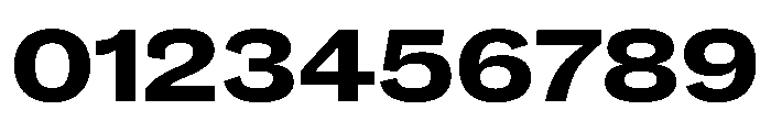Caslon Doric Wide Bold Font OTHER CHARS