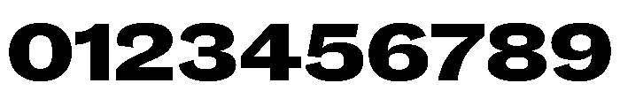 Caslon Doric Wide Extrabold Font OTHER CHARS