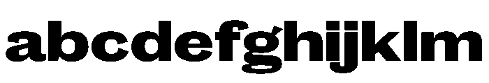 Caslon Doric Wide Extrabold FONT