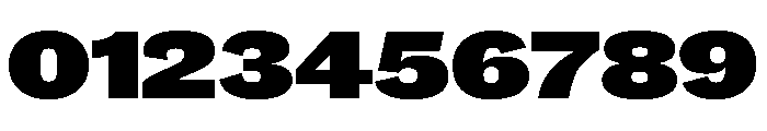 Caslon Doric Wide Fat Font OTHER CHARS