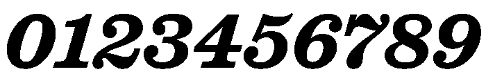 Caslon Ionic Bold Italic Font OTHER CHARS
