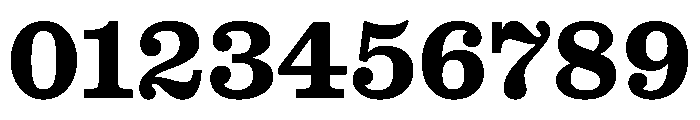 Caslon Ionic Bold Font OTHER CHARS