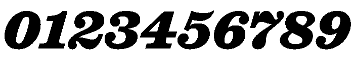 Caslon Ionic Extrabold Italic Font OTHER CHARS