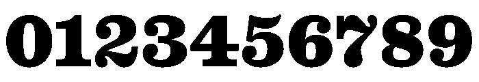 Caslon Ionic Extrabold Font OTHER CHARS