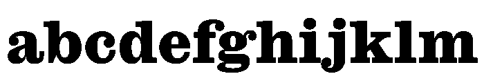 Caslon Ionic Extrabold FONT