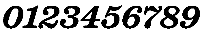 Caslon Ionic Rounded Bold Italic Font OTHER CHARS