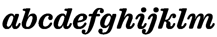 Caslon Ionic Rounded Bold Italic FONT
