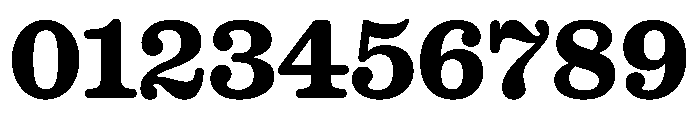 Caslon Ionic Rounded Bold Font OTHER CHARS
