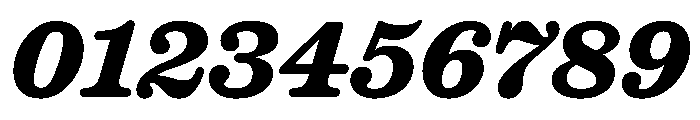 Caslon Ionic Rounded Extrabold Italic Font OTHER CHARS