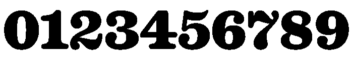 Caslon Ionic Rounded Extrabold Font OTHER CHARS