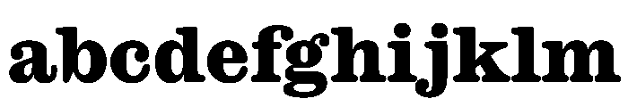 Caslon Ionic Rounded Extrabold FONT