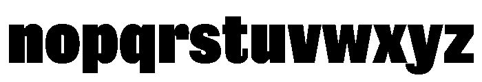 Caslon Sans Shaded Regular Font LOWERCASE