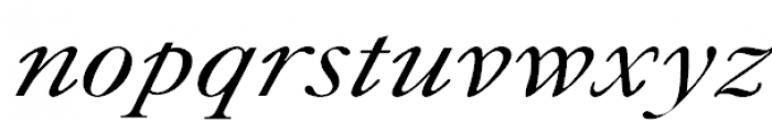 Caslon Italic Font LOWERCASE