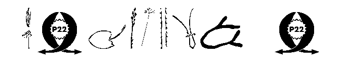 Cage Extras Font OTHER CHARS
